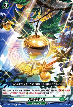 《R》DZ-BT09/065　《黄金陽光の実》　R