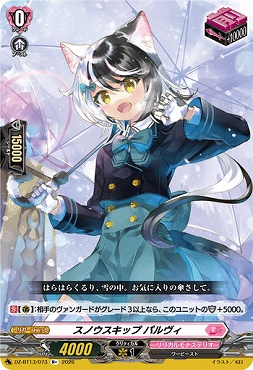 《R+》  DZ-BT13/073 スノウスキップ パルヴィ