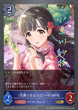 〈 P 〉 ECP02-P14 〔花舞うまほろば〕小早川紗枝