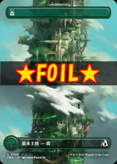 foil日【L】FRA0395森(JPN)
