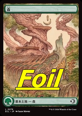 foil日【L】ECL0278森(JPN)