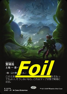 mtg 繁殖池　foil エクスペディション ミントモール / MINT GAMES MTG(東日本橋) / 【DIS】【ENG