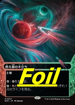 foil日[M]EOS0017燃え柳の木立ち【ショーケース】(JPN)