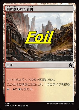 foil日【L】FDN0271風に削られた岩山(JPN)