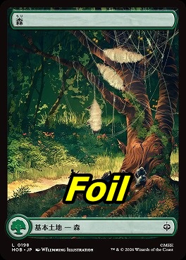 foil日【L】HOB0198森(JPN)