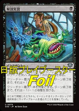 foil日《U》SOS0079解剖実習(JPN)