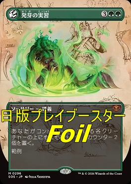 foil日[M]SOS0296発芽の実習【ショーケース】(JPN)