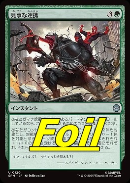 *予約*foil日《U》SPM0120見事な連携(JPN)