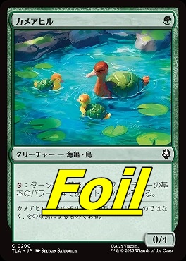 foil日【C】TLA0200カメアヒル(JPN)