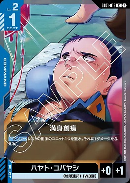〔C〕 ST01-012 満身創痍