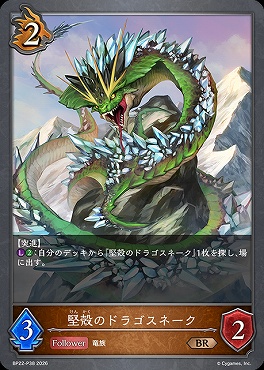 〈 P 〉BP22-P38堅殻のドラゴスネーク