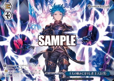 !★パラ [TDP] gbf_s134_t14s 十天の極みに至りし者 主人公(男)