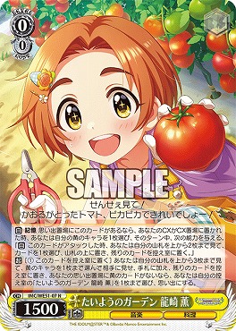 〔N〕 IMC/WE51-07 たいようのガーデン 龍崎 薫