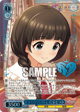 !★パラ★ [M@P] IMC/WE51-58M@P 止まらない冒険心 氏家むつみ