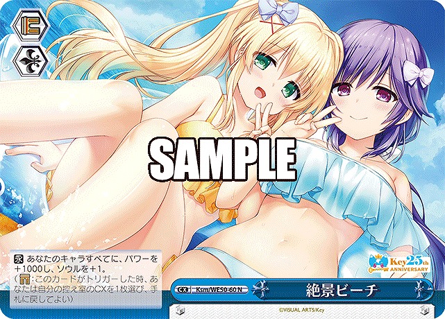 〔 N 〕Ksm/WE50-60 絶景ビーチ