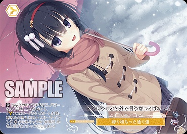 !★パラ★【P】 降り積もった通り道