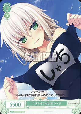 !★パラ★ 〈SR〉 os03_r03_044 こぼれそうな水着 シャチ
