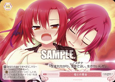 !★パラ★ 〈SR〉 os03_r03_076 母との再会