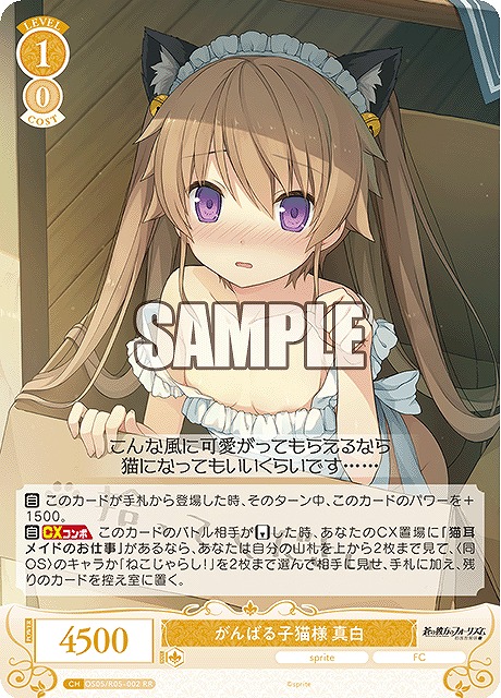 《RR》 がんばる子猫様 真白