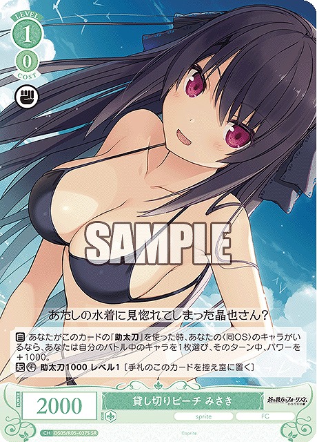 !★パラ★ 〈SR〉 os05_r05_037 貸し切りビーチ みさき