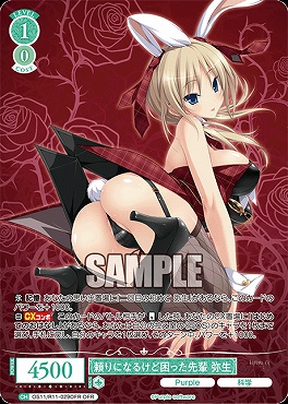!★パラ [OFR] os11_r11_029ofr 頼りになるけど困った先輩 弥生