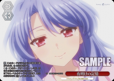 !★パラ 【PR】 SMP/W137-106S 夜明けの記憶