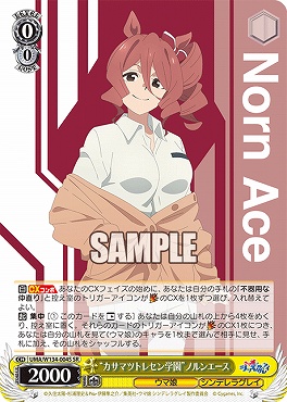 !★パラ★ 〈SR〉 UMA/W134-004S カサマツトレセン学園”ノルンエース
