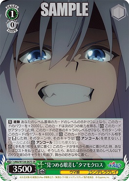 !★パラ★ 〈SR〉 UMA/W134-047S 見つめる眼差し”タマモクロス