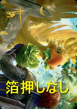 【アートカード】ギサールの野菜10/53【andrea Montalto】(JPN)